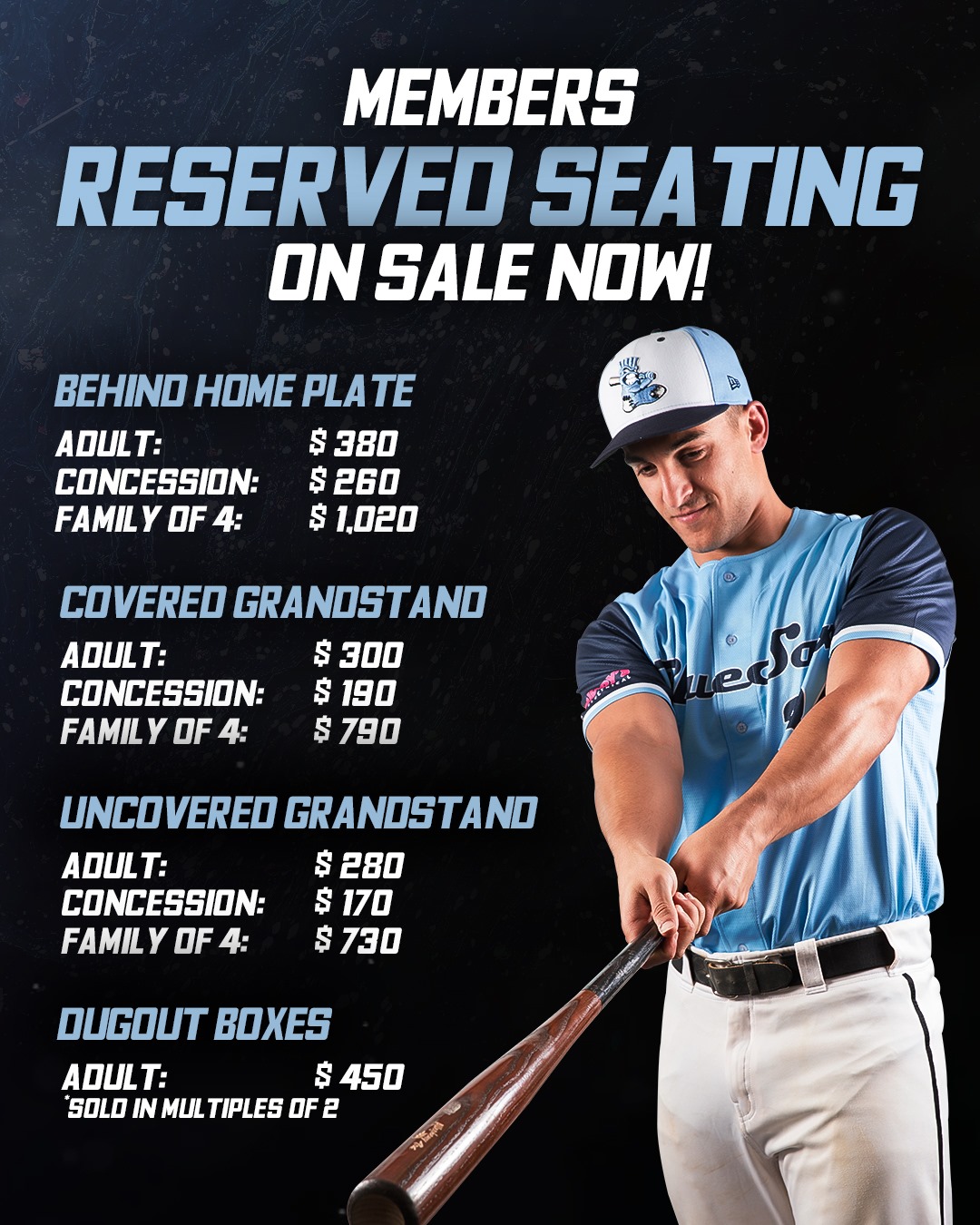 Membership Sydney Blue Sox